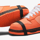 Concepts x SB Dunk Low Orange Lobster–Elegante